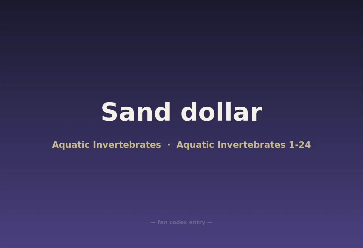 Sand dollar