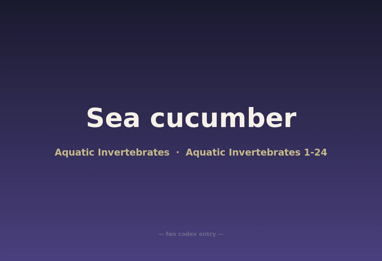 Sea cucumber