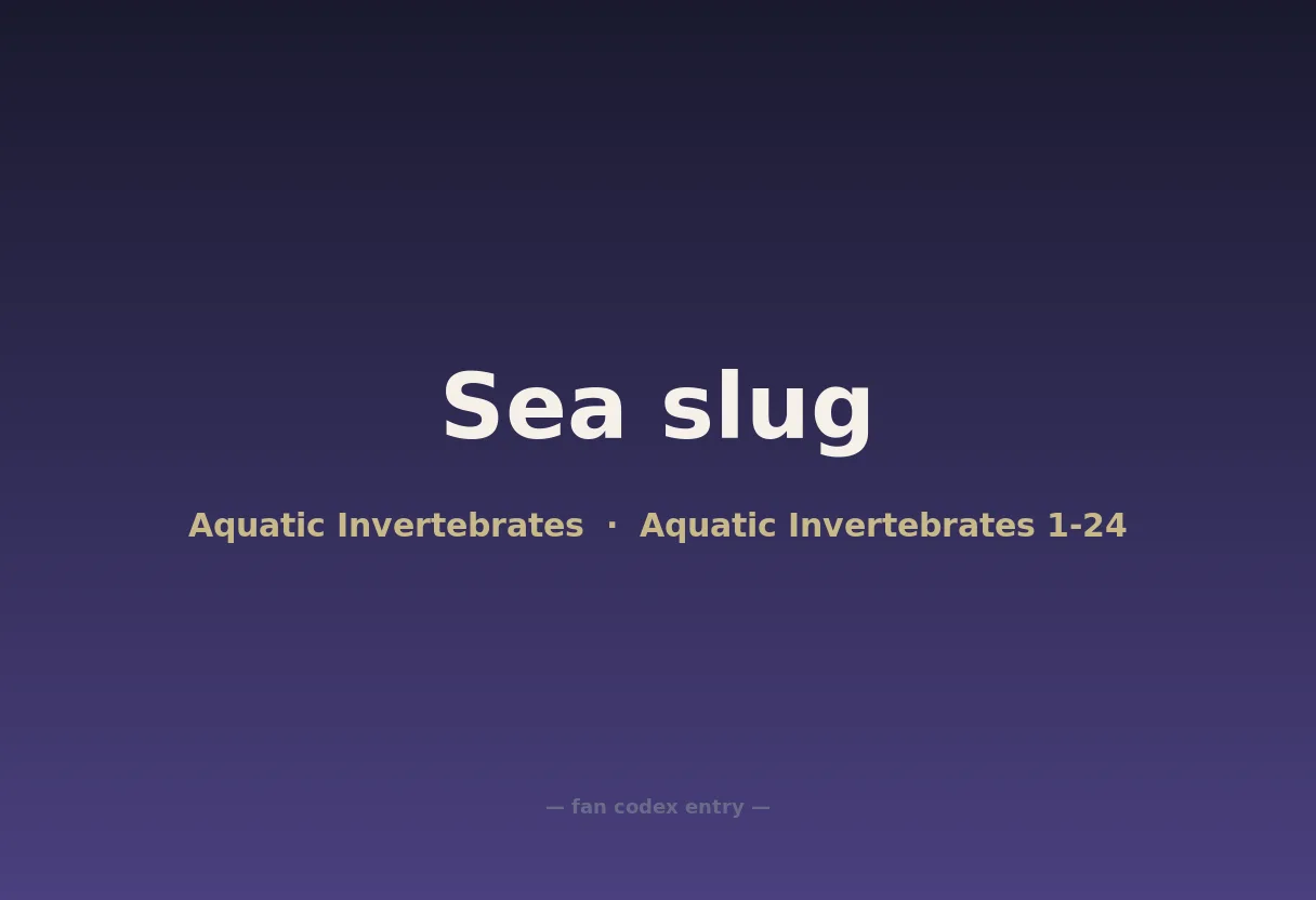 Sea slug