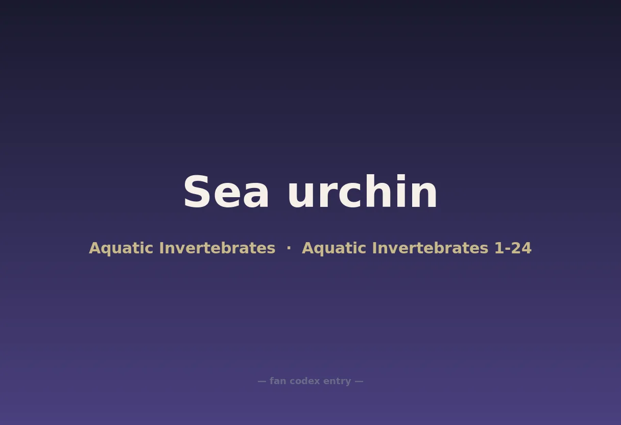 Sea urchin
