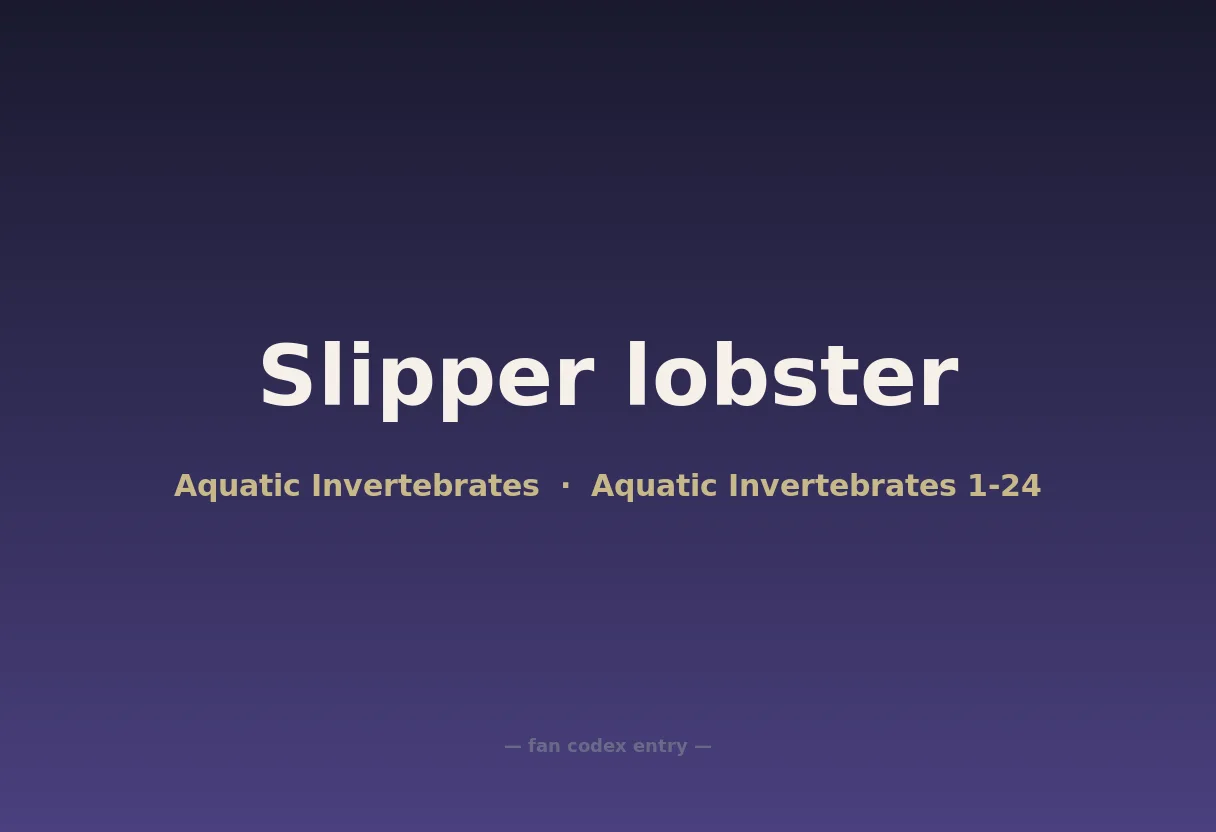 Slipper lobster