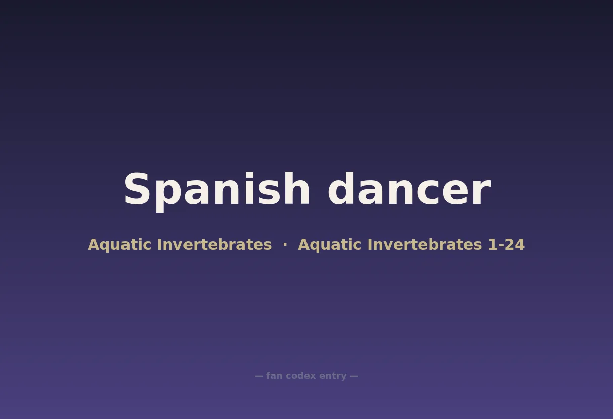 Spanish dancer