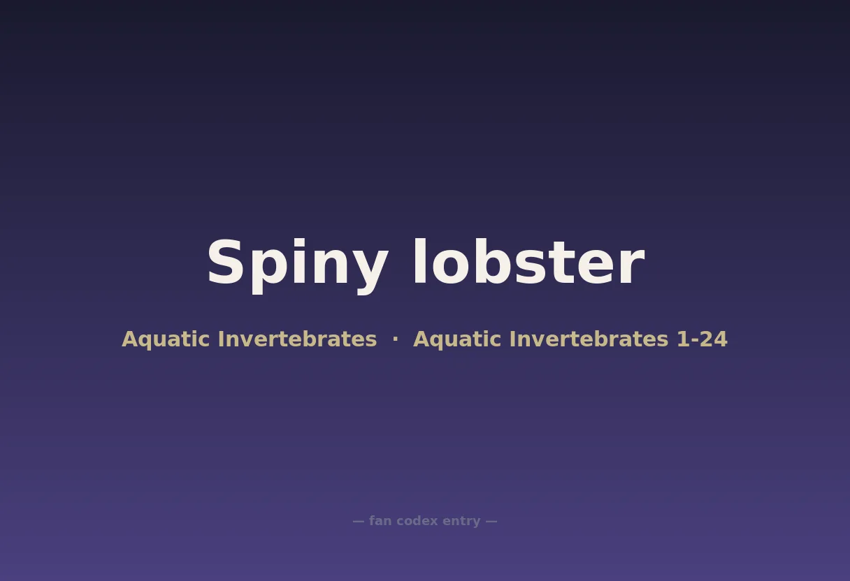Spiny lobster