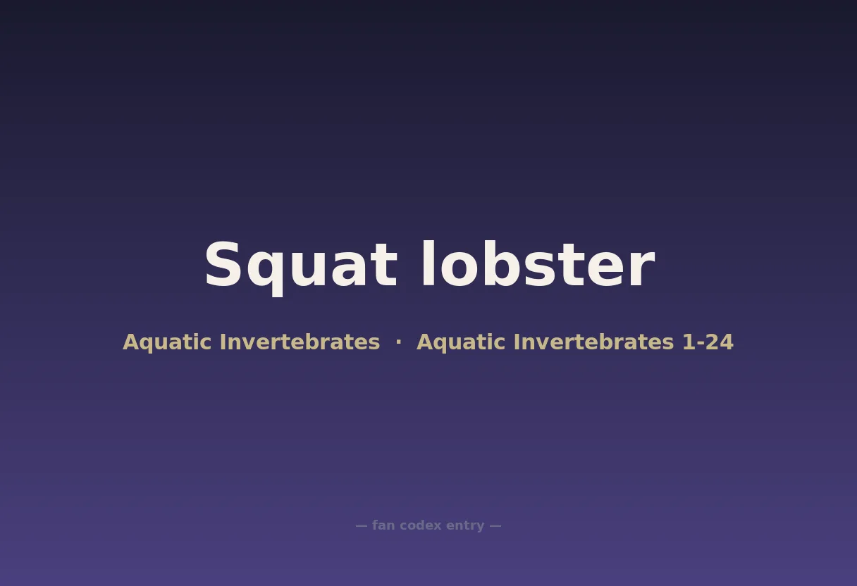 Squat lobster