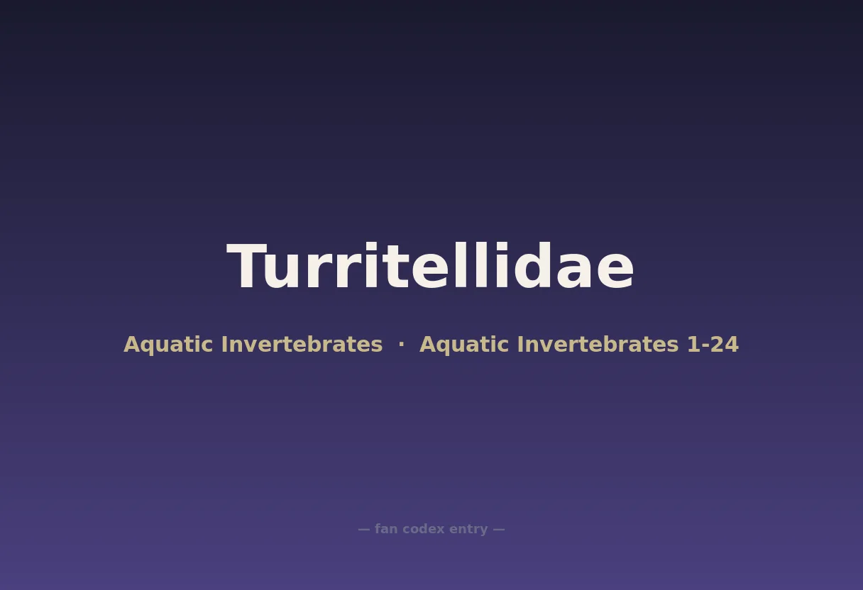 Turritellidae