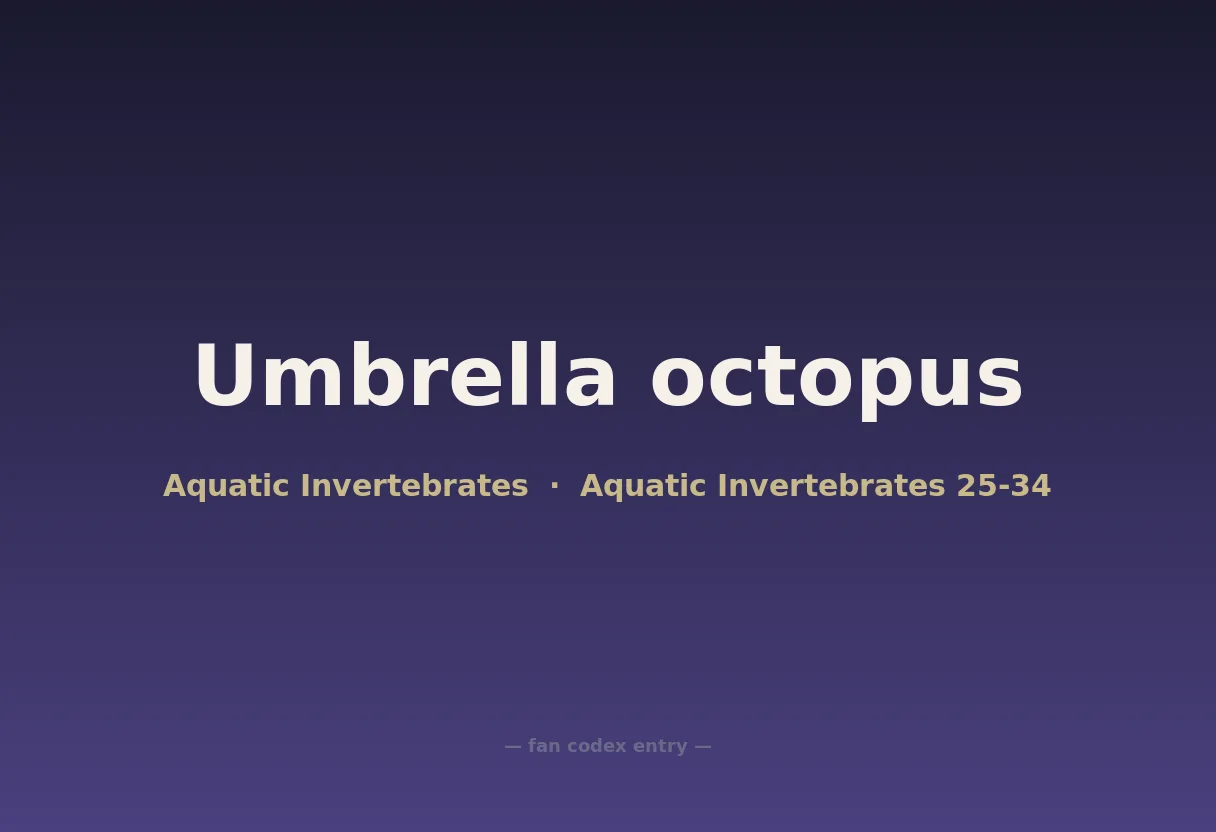 Umbrella octopus
