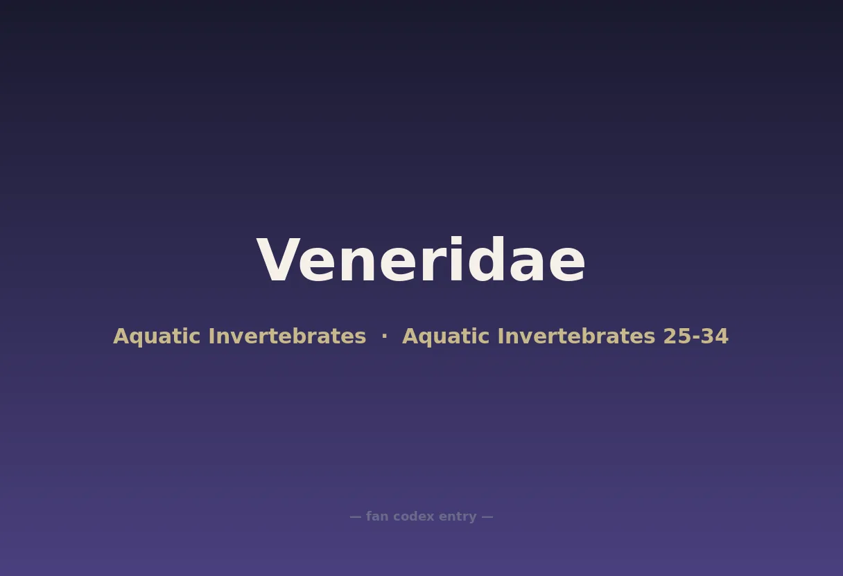 Veneridae