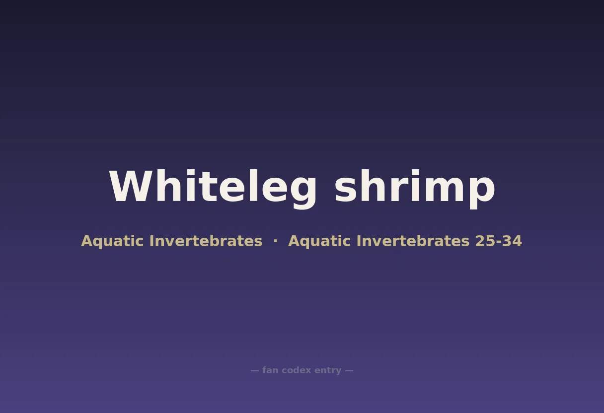Whiteleg shrimp